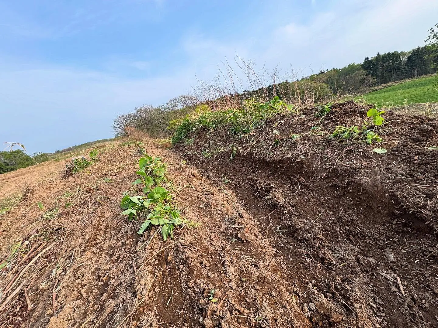 登別アウトドアパーク✨コースを増やして来ました😆