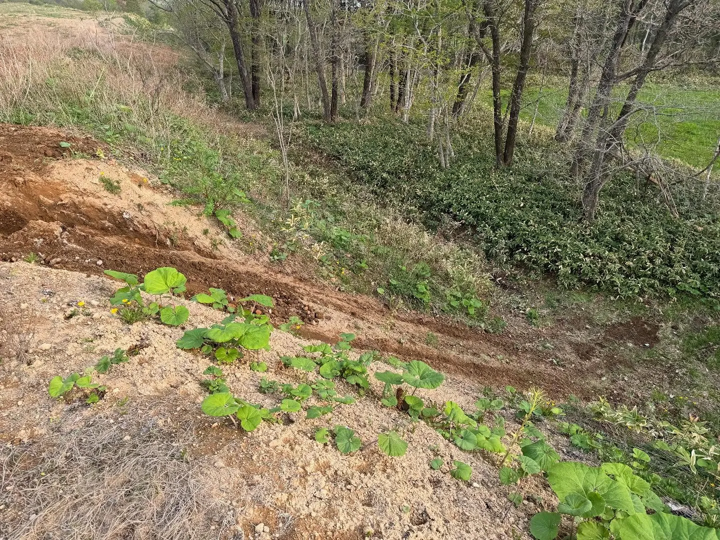 登別アウトドアパーク✨コースを増やして来ました😆