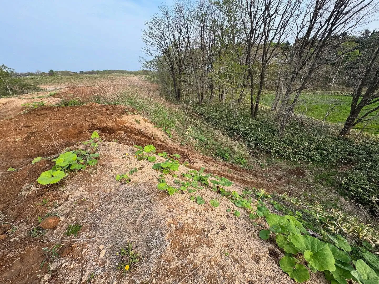 登別アウトドアパーク✨コースを増やして来ました😆
