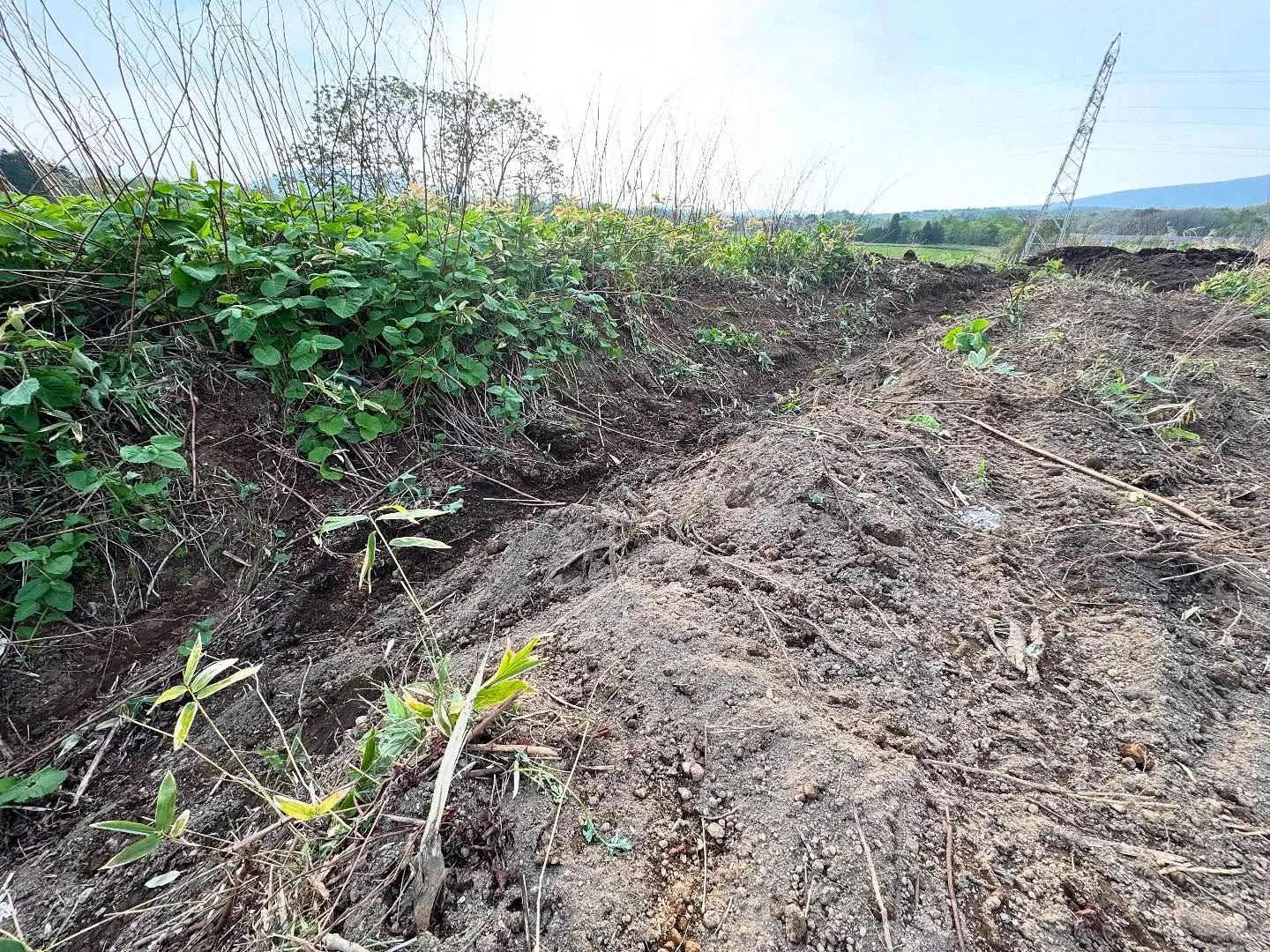 登別アウトドアパーク✨コースを増やして来ました😆